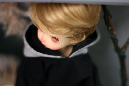 Takeru – 1/6 BJD Doll – 30 cm (Full Set)